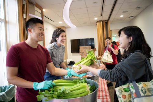 student visiting food market